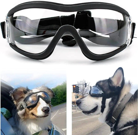 Adjustable Strap Dog Goggles - TikTokFavorites