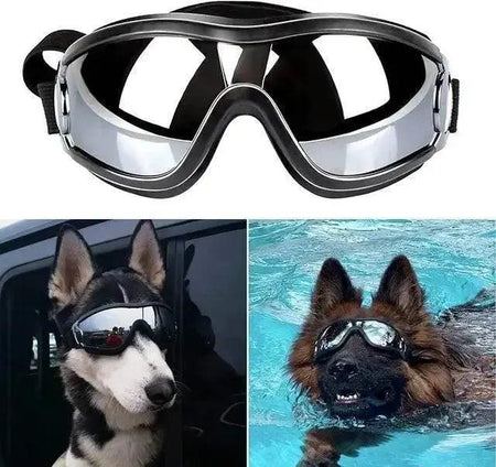 Adjustable Strap Dog Goggles - TikTokFavorites