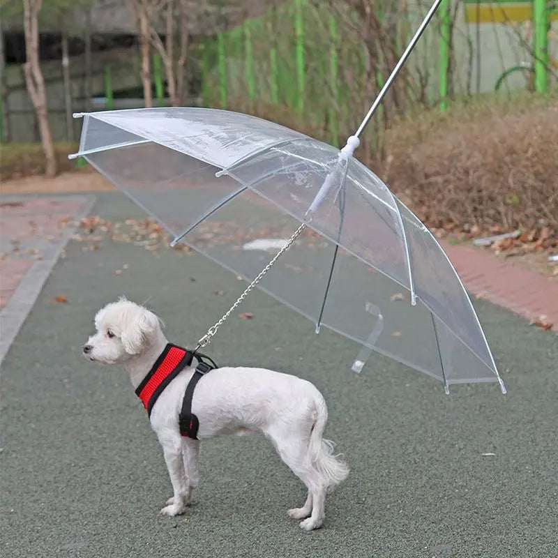 Pet Umbrella Leash - TikTokFavorites